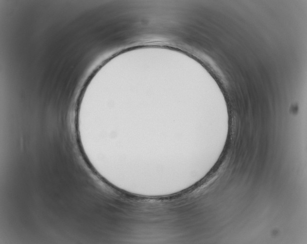 X0000116331424201001131015