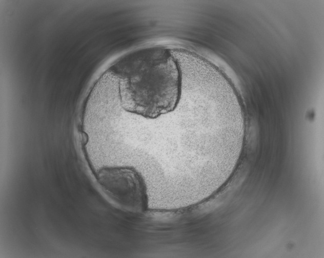 X0000116331429201001131015
