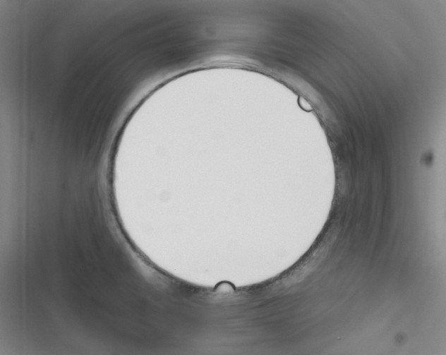 X0000116331430201001131015