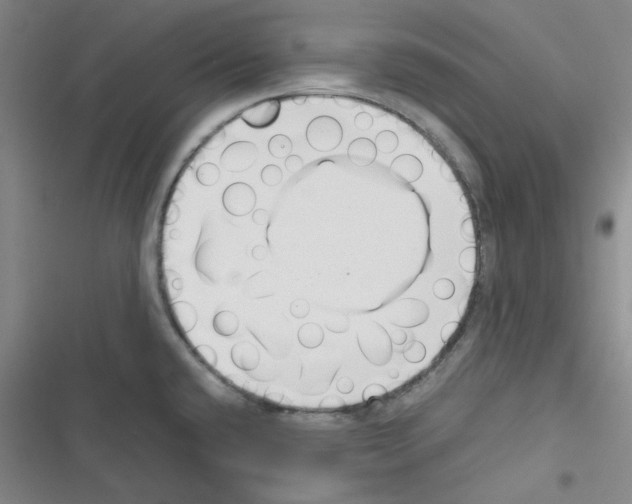 X0000116331432201001131015