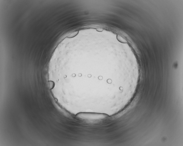 X0000116331433201001131015