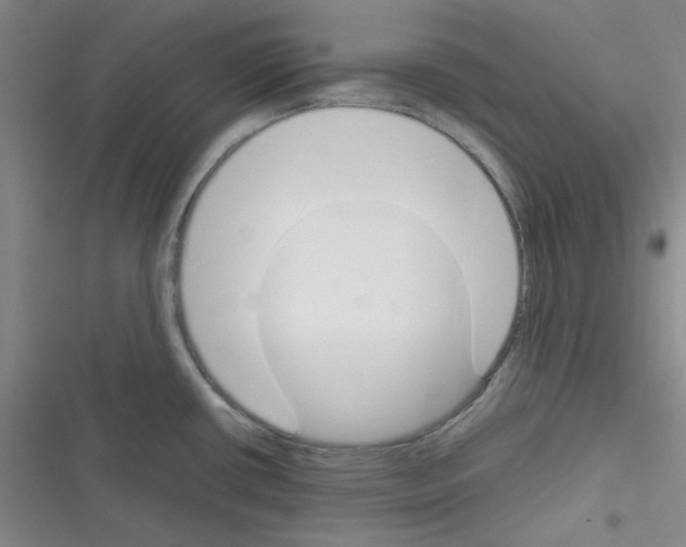X0000116331434201001131015