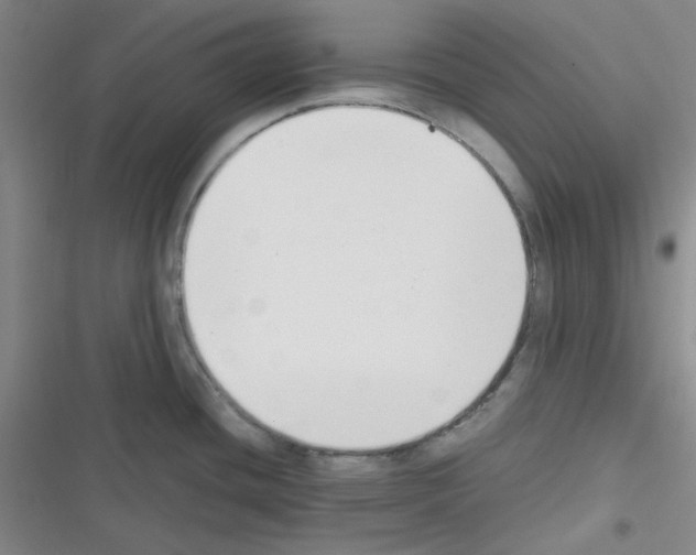 X0000116331436201001131015