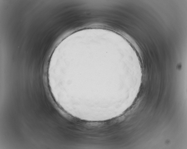 X0000116331437201001131015