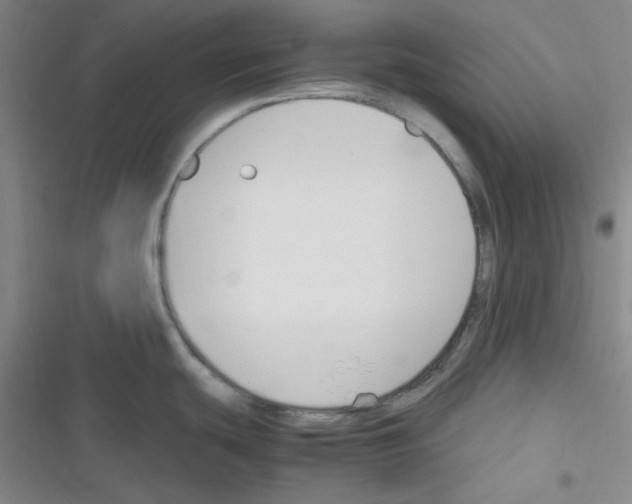 X0000116331439201001131015