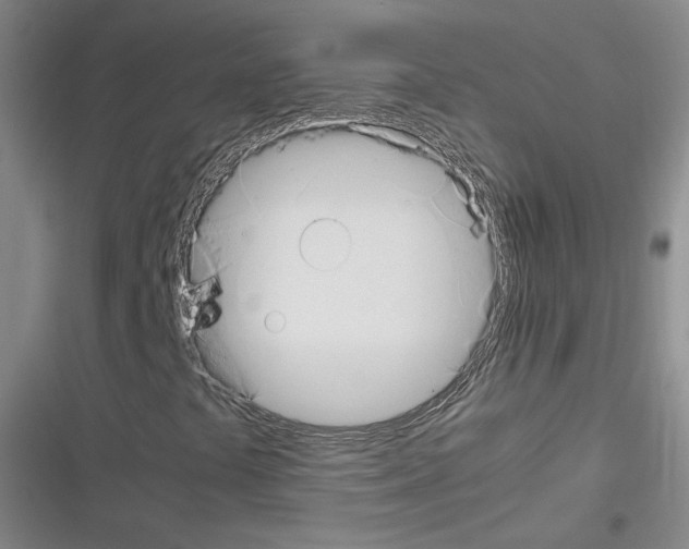 X0000116331441201001131014