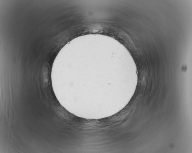 X0000116331442201001131014
