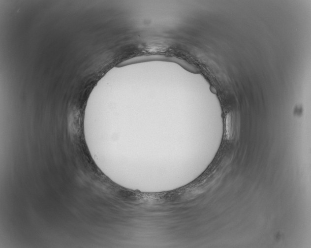X0000116331443201001131014
