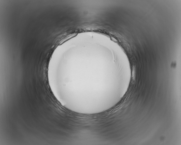 X0000116331444201001131014