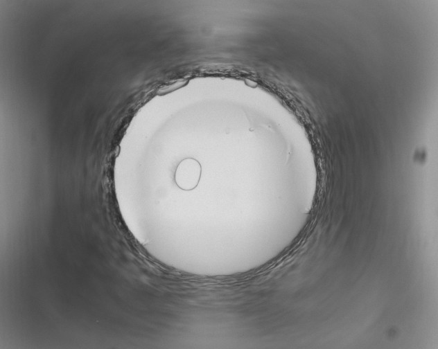 X0000116331445201001131014
