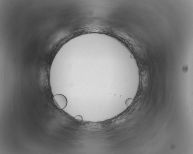X0000116331446201001131014