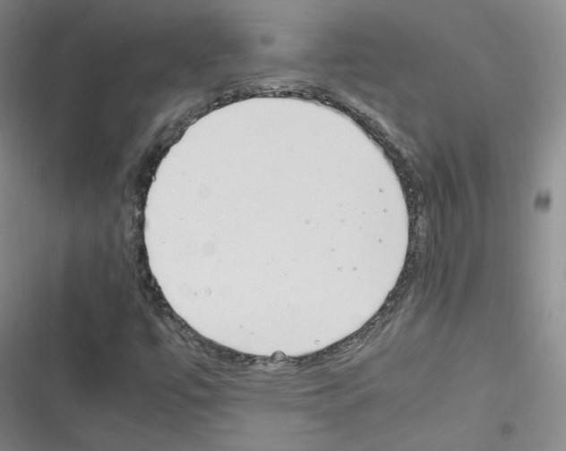 X0000116331447201001131014