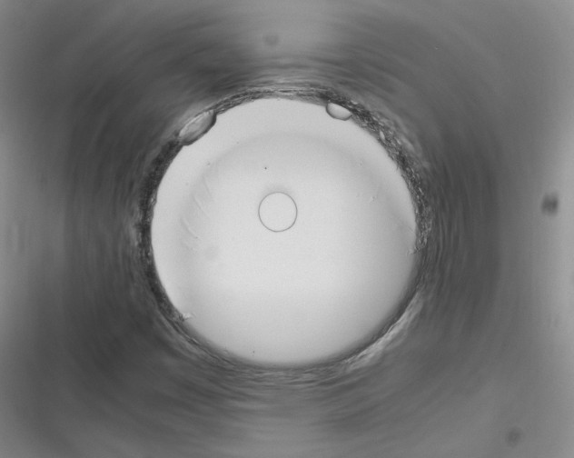 X0000116331449201001131014