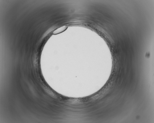 X0000116331450201001131014