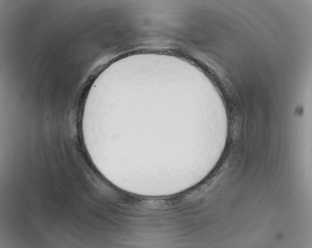 X0000116331451201001131014