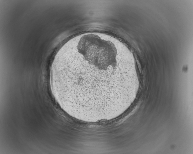 X0000116331453201001131014
