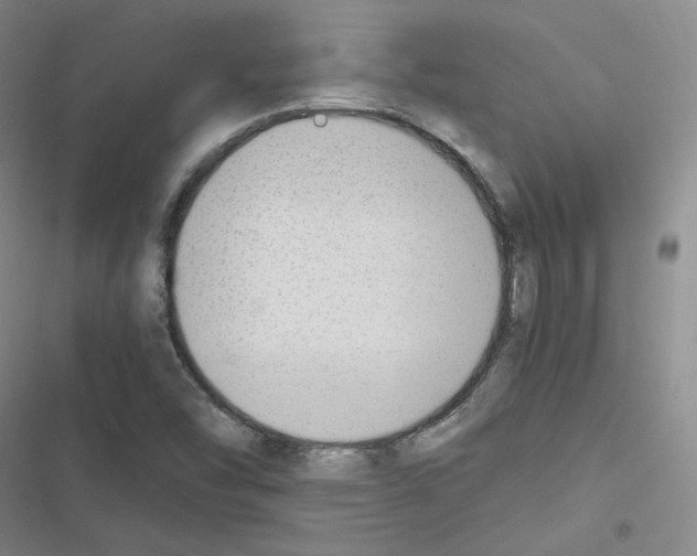 X0000116331454201001131014
