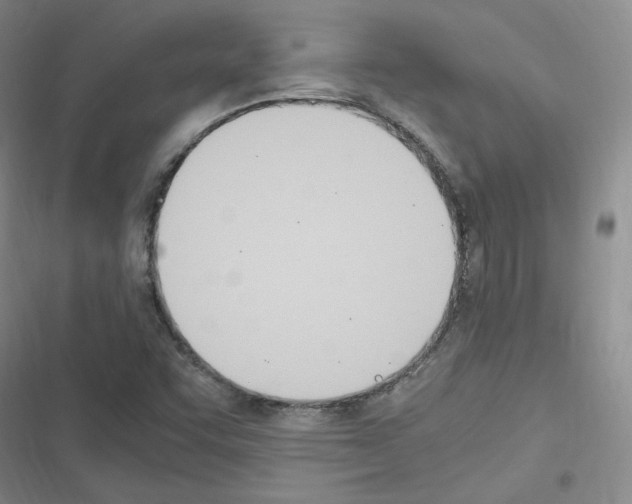 X0000116331455201001131014
