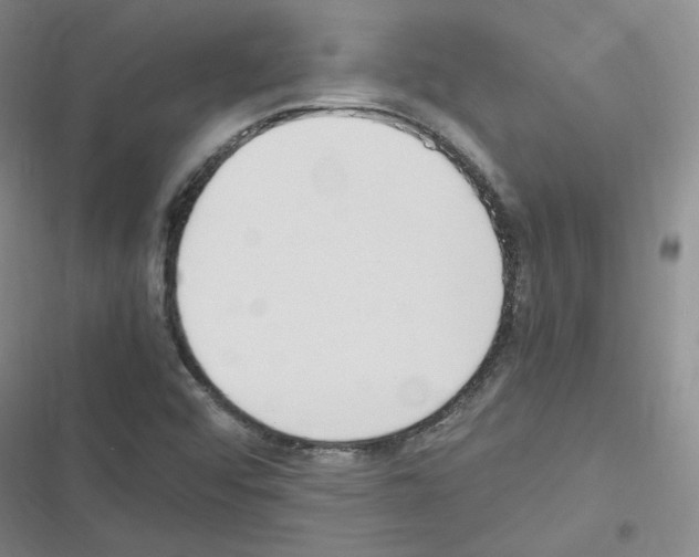X0000116331456201001131014