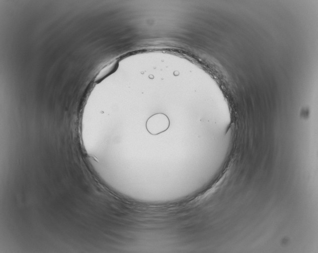 X0000116331457201001131014
