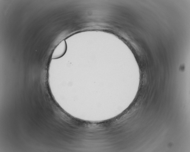 X0000116331459201001131014