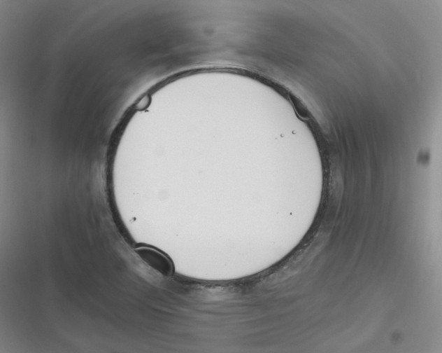 X0000116331460201001131014