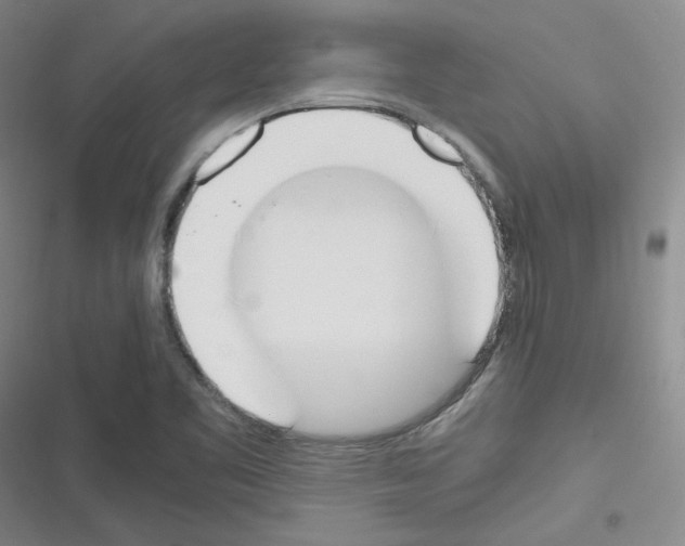 X0000116331461201001131014
