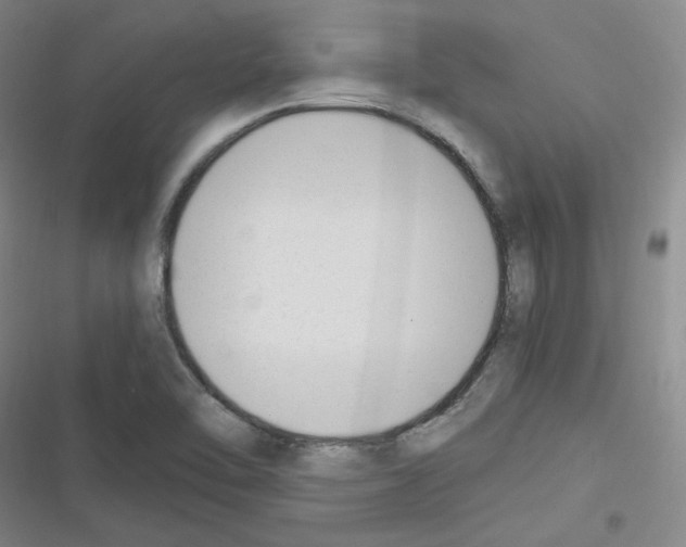 X0000116331462201001131014