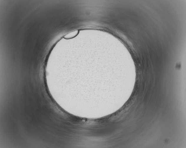 X0000116331463201001131014