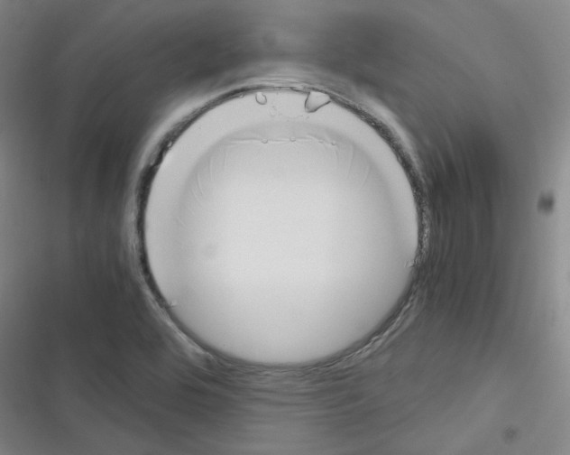 X0000116331464201001131014
