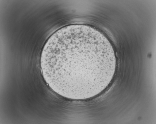 X0000116331465201001131014