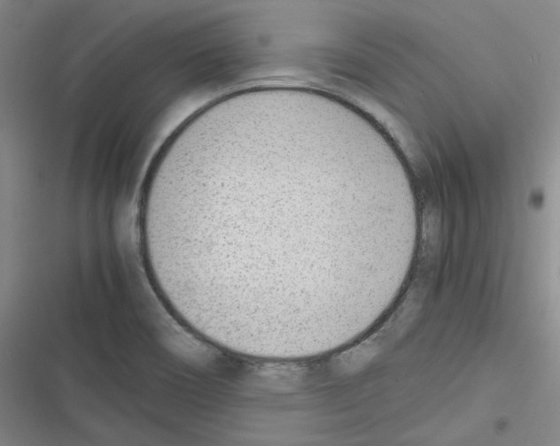 X0000116331466201001131014