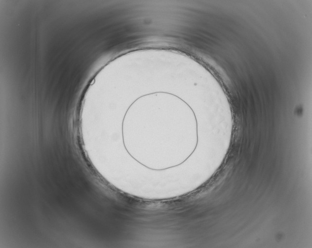 X0000116331467201001131014