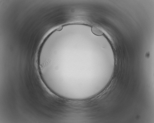X0000116331468201001131014