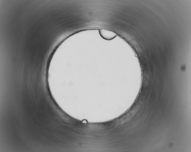 X0000116331469201001131014