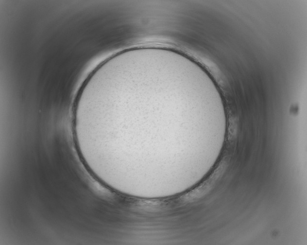X0000116331470201001131014