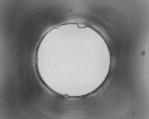 X0000116331471201001131014