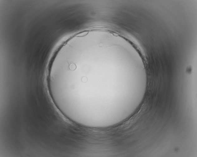 X0000116331472201001131014