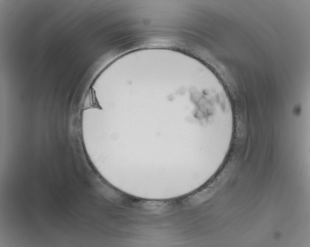 X0000116331473201001131014