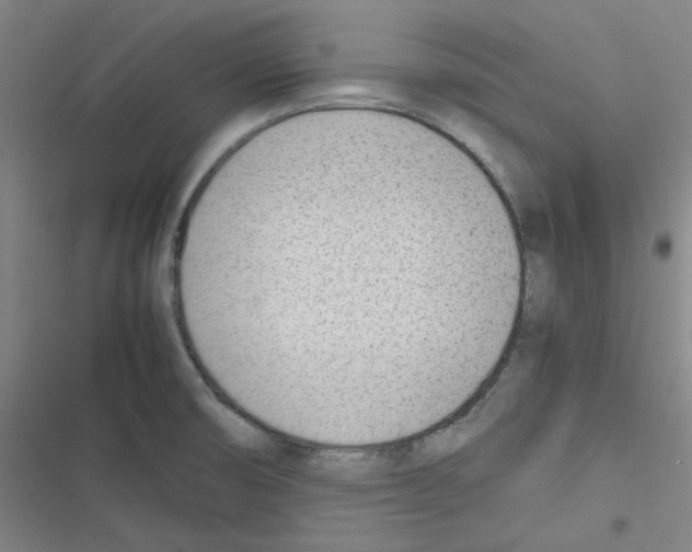 X0000116331474201001131014