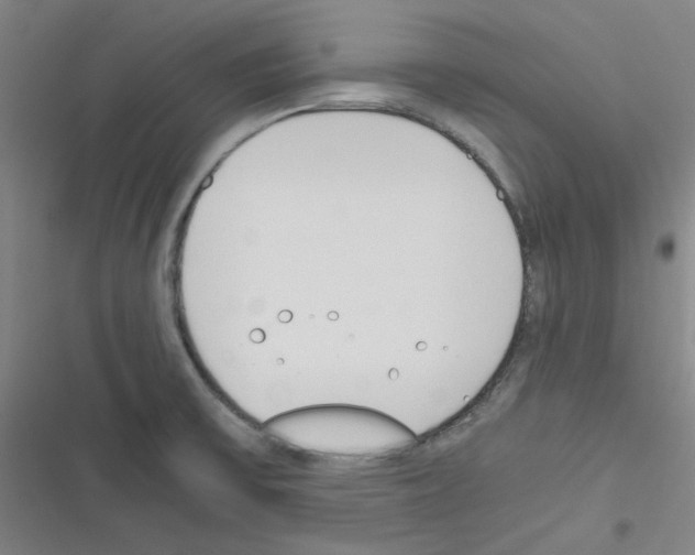X0000116331475201001131014