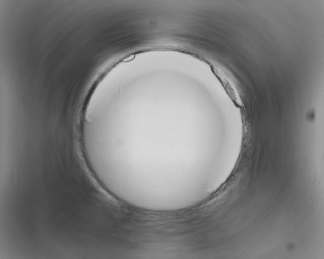 X0000116331477201001131014