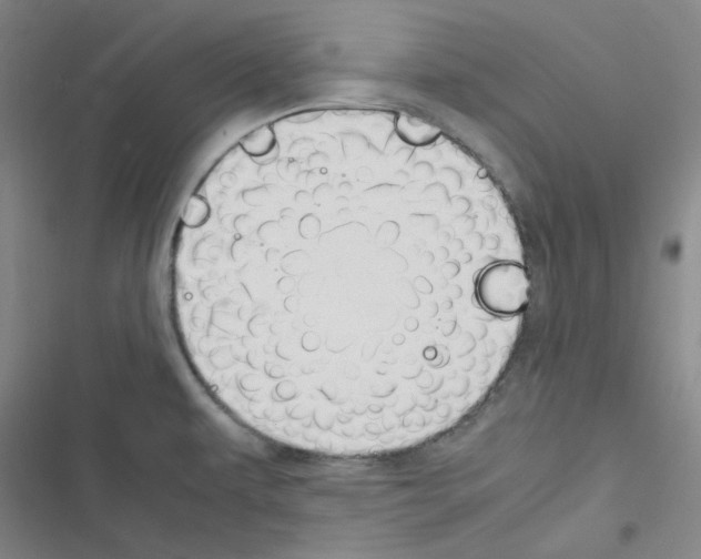 X0000116331479201001131014