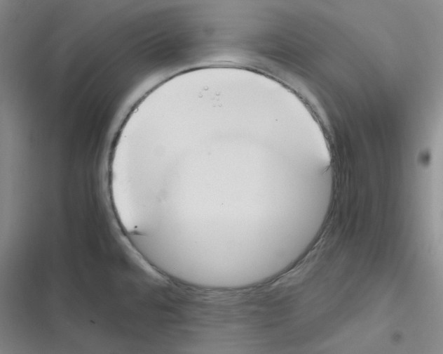 X0000116331480201001131014