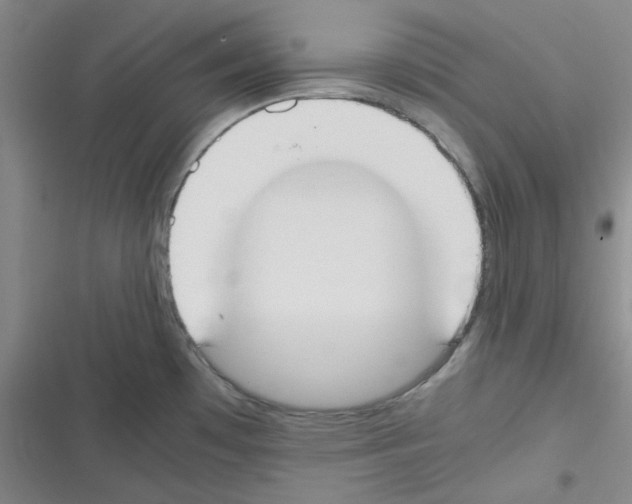 X0000116331481201001131014