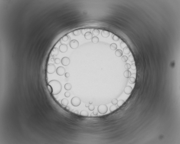 X0000116331483201001131014