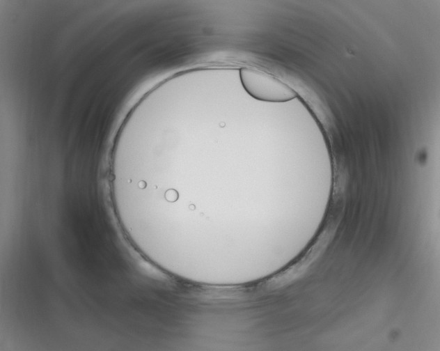 X0000116331486201001131014
