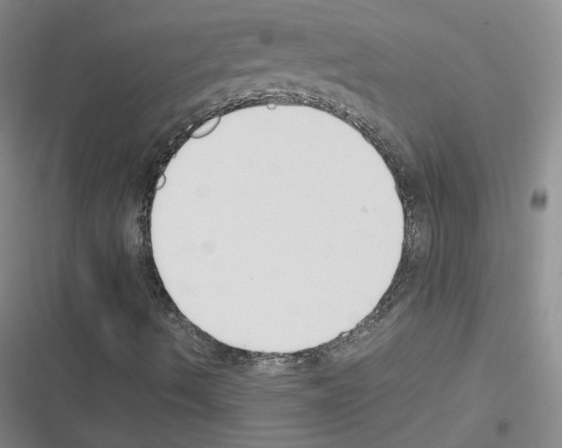 X0000116331490201001131013