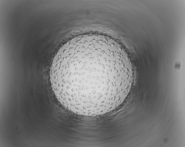X0000116331491201001131013