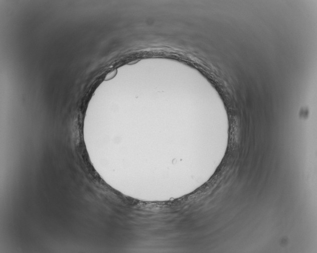 X0000116331493201001131013